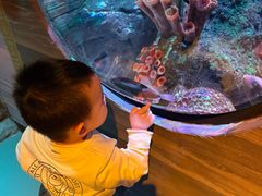 -沈阳海洋探索中心