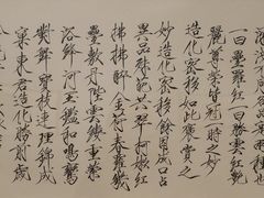 -【朵云轩艺术中心】博洛尼亚插画展·中国巡展·上海站