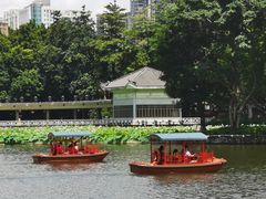 -荔湾湖公园