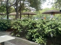 -星巴克(西湖天地店)