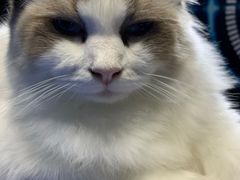 -零纪元VR体验馆·桌游(黄浦店)