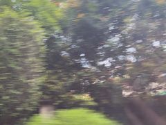 -三水森林公园