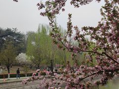 -元大都城垣遗址公园