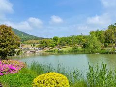 -牛首山文化旅游区