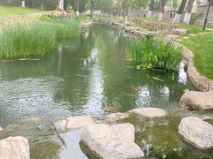 -三里河公园