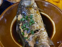 -张关合渣(航空大道店)