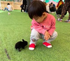 -萌宠亲子动物乐园(槐房万达店)