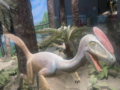 -辽宁古生物博物馆