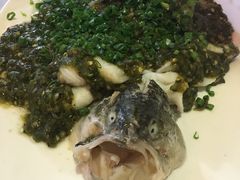 烧椒鲈鱼-尘香•传统川菜(创汇首座店)