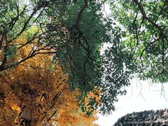 -西安市广仁寺