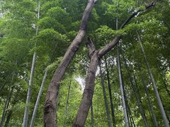 -采石矶景区