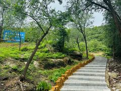 -白水寺森林公园