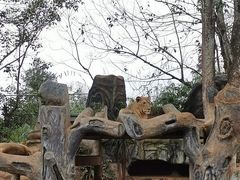 -海南热带野生动植物园