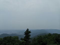 -雨花胜境