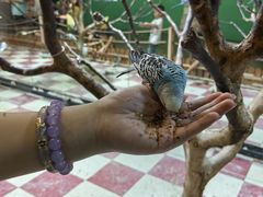 -上海大自然野生昆虫馆(东方明珠·爬宠昆虫探索中心)