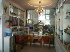 -宠爱屋室内萌宠乐园(阿拉善左旗店)
