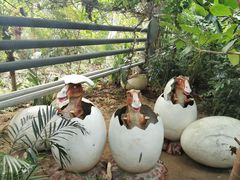 -呀路古热带植物园