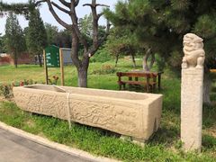 -上林马术中央公园·户外露营·团建·骑乘