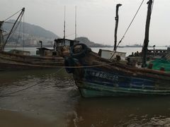 -青岛沙子口国家中心渔港