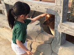 -长廊欢乐园