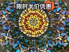 -上海自然博物馆