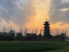 -洋湖国家湿地公园