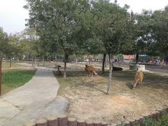 android_upload_pic-石家庄市动物园