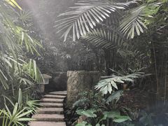 -广州兰圃