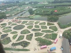 -白洋淀景区