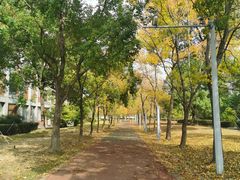 -同济大学(嘉定校区)