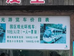 -上海海湾国家森林公园