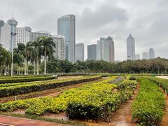 -万绿园