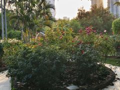 -人民公园(罗湖区)