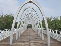 -大兴滨河森林公园