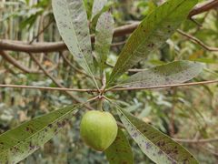 -中国移动南方基地