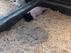 -姑苏二十四集(iD PARK 歌林公园店)