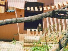 -青藏高原野生动物园