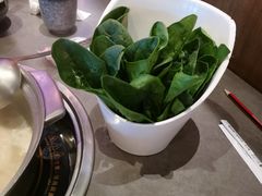 -同仁四季椰子鸡(宝安壹方城店)
