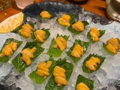 -月龍吟(朝龙汇店)