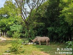 -深圳野生动物园