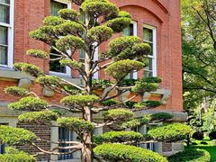 -北海道厅旧本厅舍(旧本庁舎)