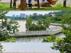 -荔湾湖公园