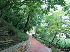 -大连植物园