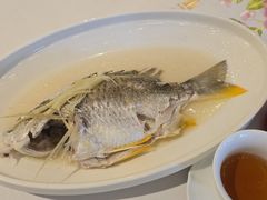 -花城苑广府菜(侨鑫店)