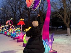 -沈阳奥体冰雪嘉年华