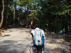 -佛山市三水区大南山森林公园