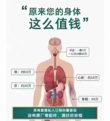 -香薇妮丝·定制减肥·身材管理