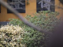 -慧因高丽寺