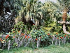 -厦门日月谷温泉渡假村