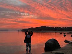 -瑶湖郊野森林公园